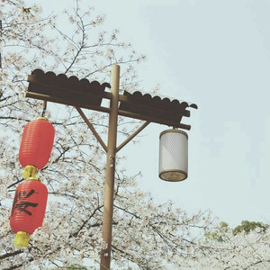 国产精品国产精品亚洲专区无码
